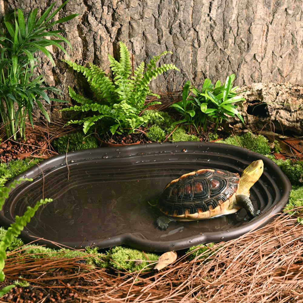 Sürüngen Banyo Kabı Amfibi Yaş - Water Dish Reptile incelemesi ve fiyatı