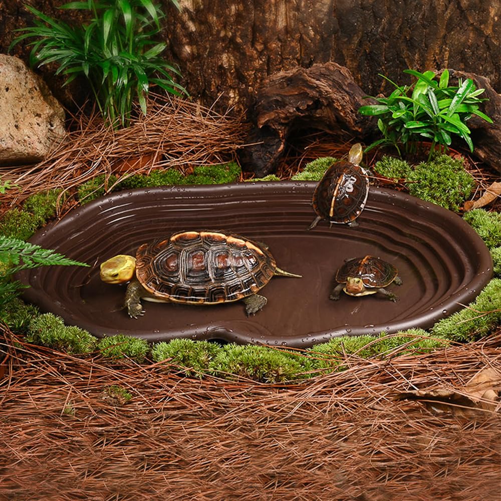 Sürüngen Banyo Kabı Amfibi Yaş - Water Dish Reptile incelemesi ve fiyatı