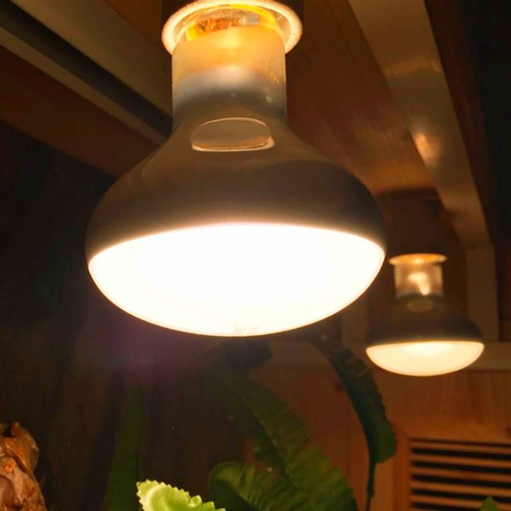 Kaplumbağa Sıcaklık Kontrol Ci - Basking Bulb Halogen incelemesi ve fiyatı