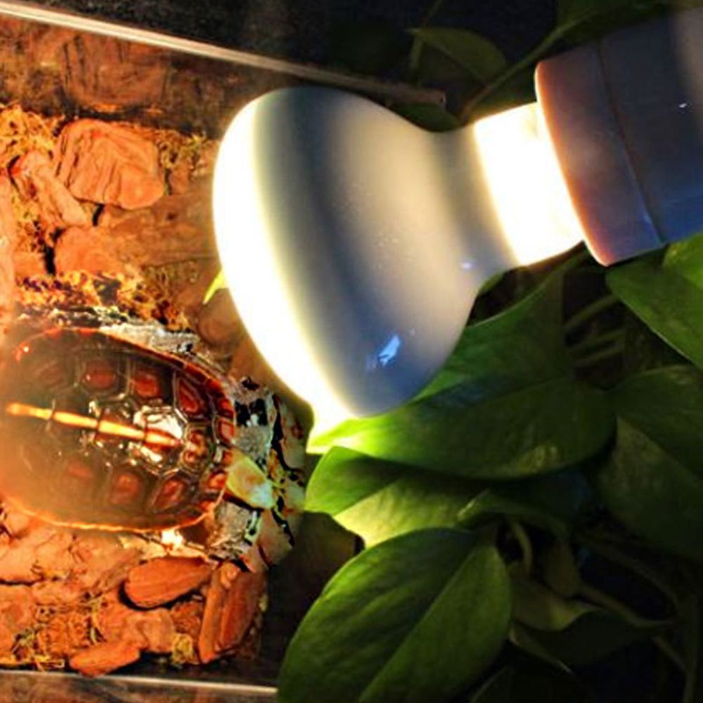 Kaplumbağa Isıtıcı Sıcaklık Ko - Basking Bulb Halogen incelemesi ve fiyatı