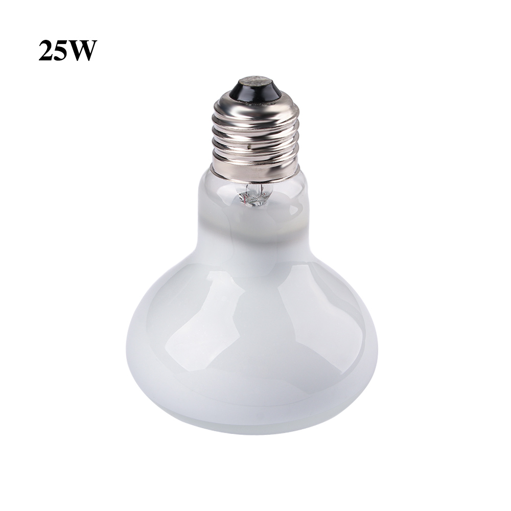 Kurbağa ve Sürüngenler için Is - Basking Bulb Halogen incelemesi ve fiyatı