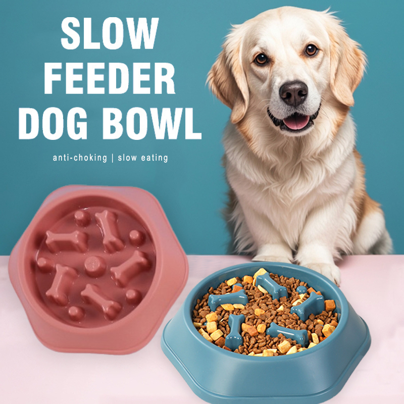 Yavaş Besleyici Köpek Mama Kab - Royal Canin Food Medium incelemesi ve fiyatı