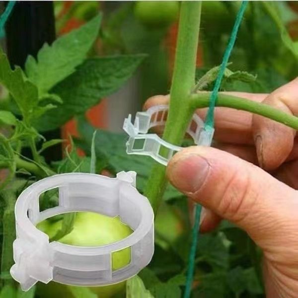 500 Adet Plastik Bitki Destek  - Vine Climbing Plastic incelemesi ve fiyatı
