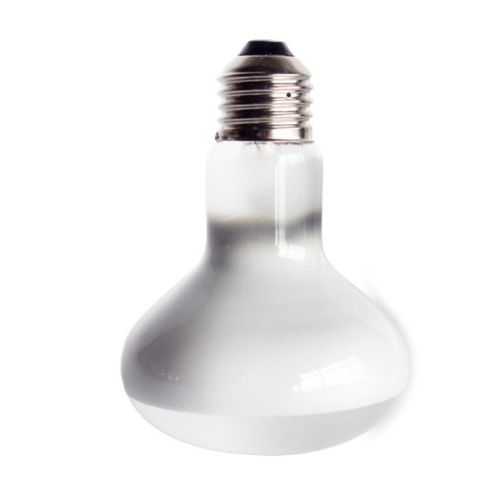 Kertenkele Isıtıcı Sıcaklık Ko - Basking Bulb Halogen incelemesi ve fiyatı